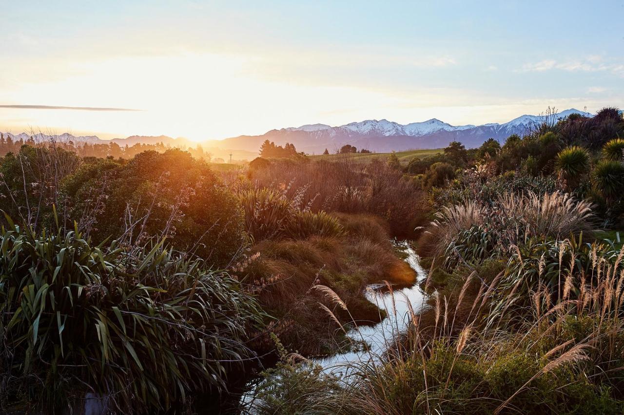 Bed and Breakfast Kakatu Retreat Bed & Breakfast Kaikoura Exterior foto